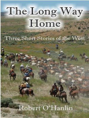 cover image of The Long Way Home